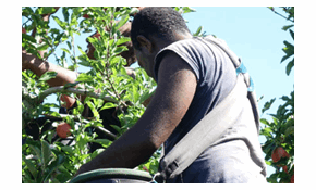 80% want action to end migrant exploitation